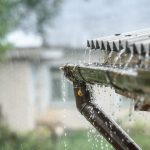 Regenwasserwassertanks – gut für Pflanzen und Portemonnaie