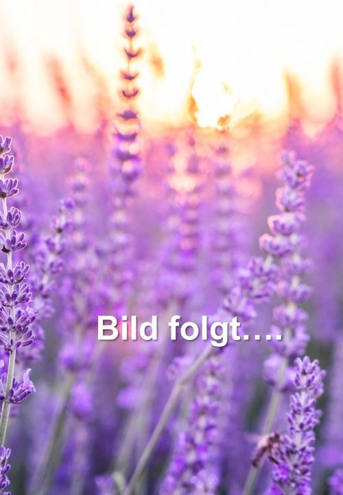 Bild_folgt
