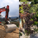 Tiefbau und Gartenbau aus einer Hand
