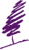 Baum